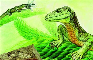 Museo Dolomythos a San Candido