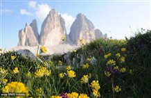 Tre Cime in Alta Pusteria