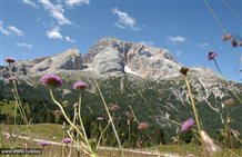 Dolomiti di Braies in Alta Pusteria - VIVOAltaPusteria