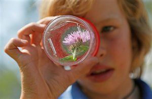 Dolomiti Ranger in Alta Pusteria