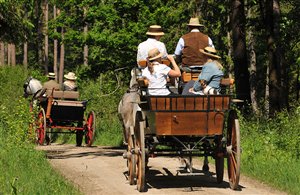 Gita in carrozza trainata da cavalli - Val Fiscalina in Alta Pusteria