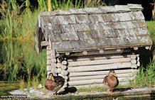 Anatre - Parco di cura di Villabassa