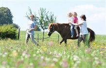 Divertimento - Cavalcare nella regione turistica Alta Pusteria
