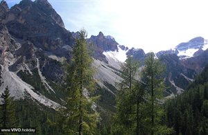 Escursione alla Malga Foresta in Alta Pusteria