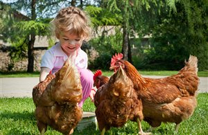 Minizoo del Camping Olympia a Villabassa