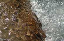 Rio Sesto in Alta Pusteria