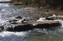 Vista sul Rio Sesto in Alto Adige