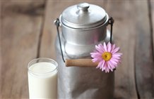 Latte nella regione turistica Alta Pusteria