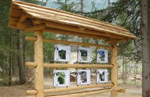 Informazioni che riguardano il mondo del latte - "Il miglio del latte" a Sesto