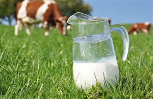 Sentiero tematico "Il miglio del latte" a Sesto