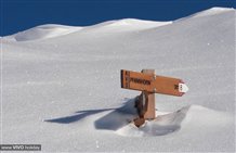 Indicatore - Corno Fana