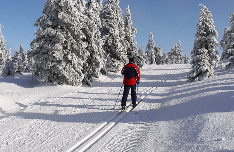Piste per lo sci di fondo in Alta Pusteria