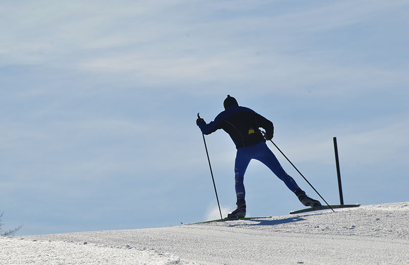 Pista da sci di fondo Dobbiaco-Cortina