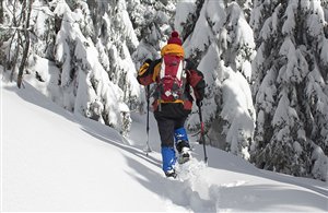 Escursione con le ciaspole San Candido - Baita del cacciatore