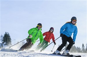 Ski Area Val Comelico