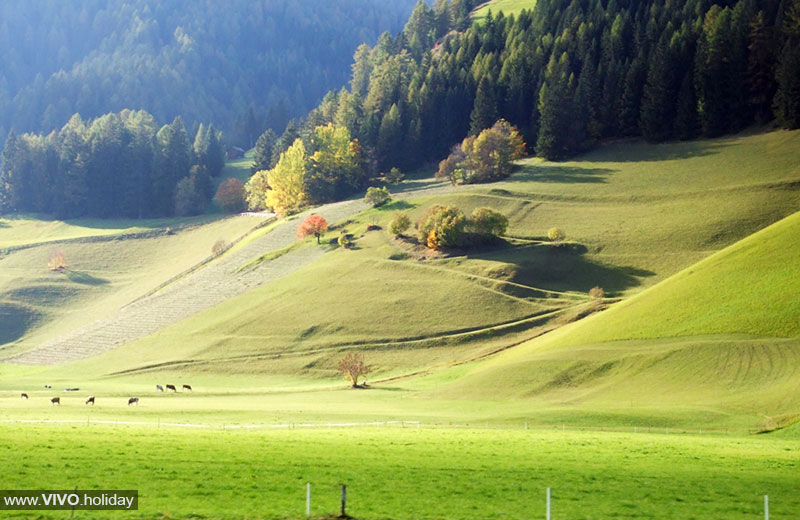 Offerte in Alta Pusteria