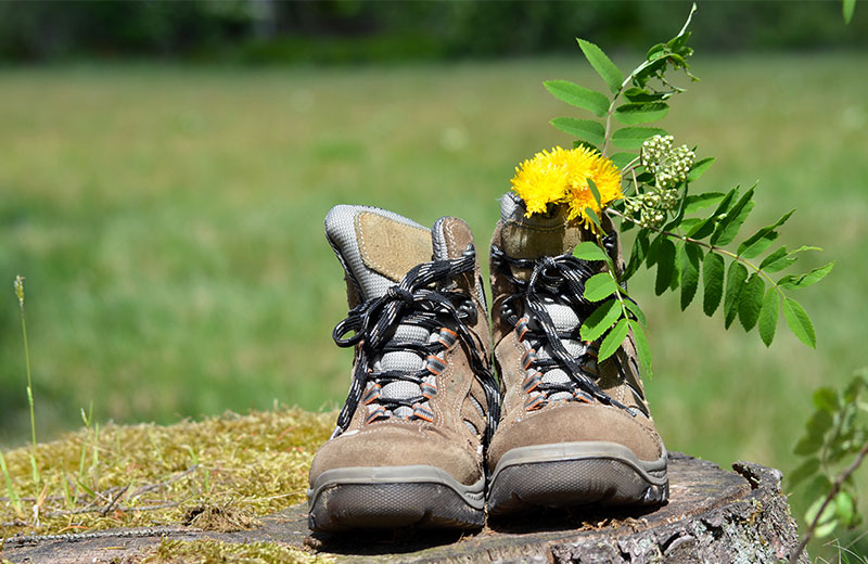 Hotel per escursionisti